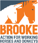 Logo Brooke